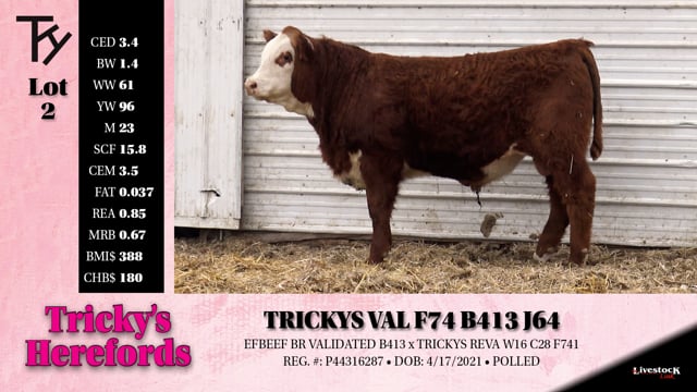 Lot #2 - TRICKYS VAL F74 B413 J64