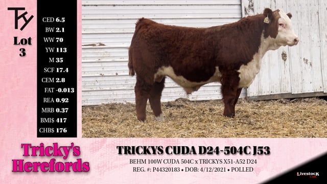 Lot #3 - TRICKYS CUDA D24-504C J53