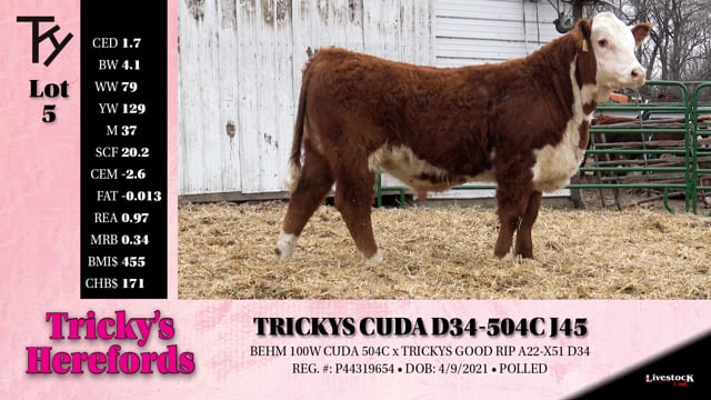 Lot #5 - TRICKYS CUDA D34-504C J45