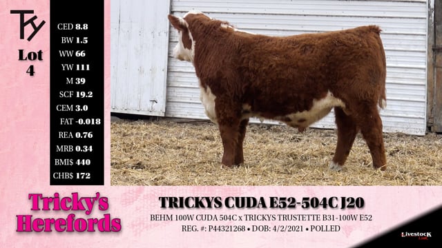 Lot #4 - TRICKYS CUDA E52-504C J20