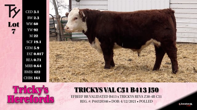 Lot #7 - TRICKYS VAL C51 B413 J50