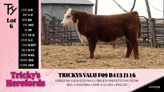 Lot #6 - TRICKYS VALU F09 B413 J116