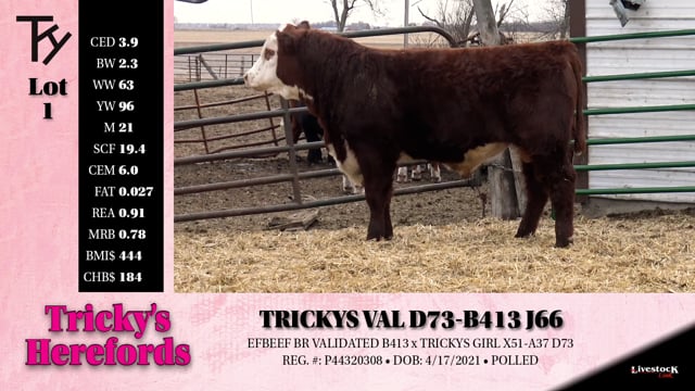 Lot #1 - TRICKYS VAL D73-B413 J66