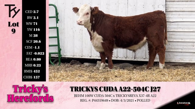 Lot #9 - TRICKYS CUDA A22-504C J27