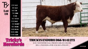 Lot #10 - TRICKYS ENDURO D66-9142 J75