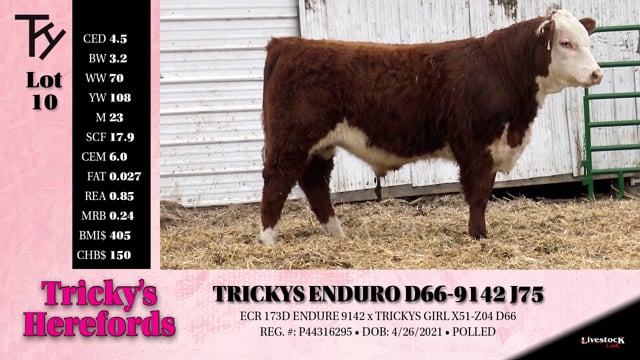 Lot #10 - TRICKYS ENDURO D66-9142 J75