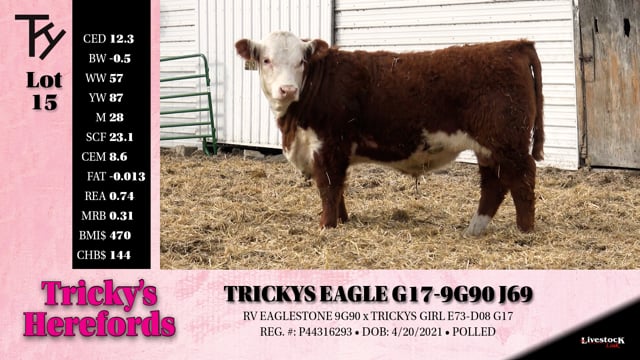 Lot #15 - TRICKYS EAGLE G17-9G90 J69