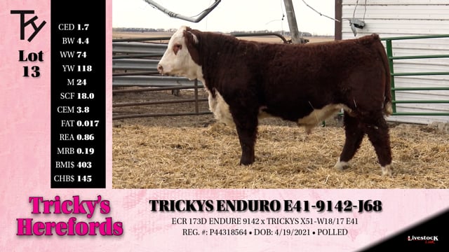 Lot #13 - TRICKYS ENDURO E41-9142 J68