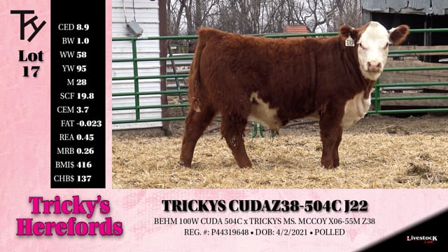 Lot #17 - TRICKYS CUDA Z38-504C J22