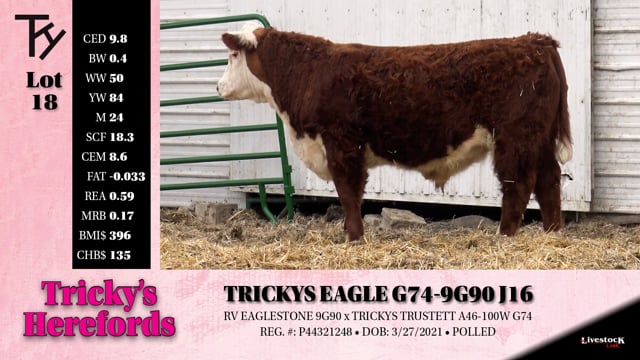 Lot #18 - TRICKYS EAGLE G74-9G90 J16