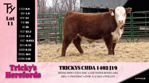 Lot #11 - TRICKYS CUDA 1402 J19