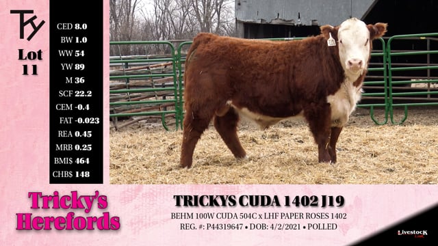 Lot #11 - TRICKYS CUDA 1402 J19