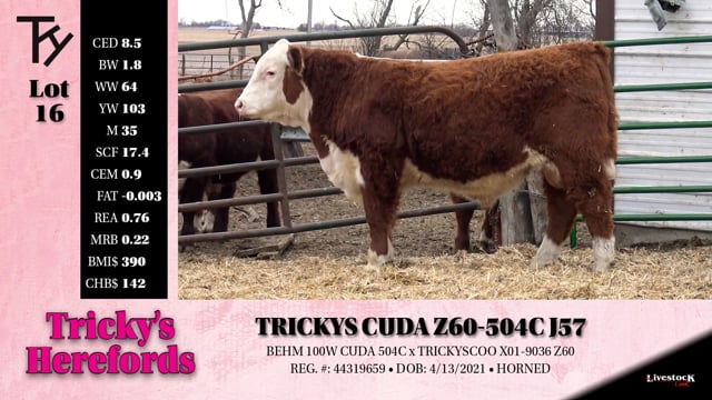 Lot #16 - TRICKYS CUDA Z60-504C J57