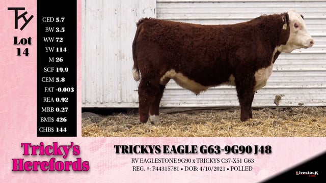 Lot #14 - TRICKYS EAGLE G64-9G90 J48