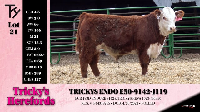 Lot #21 - TRICKYS ENDO E50-9142 J119