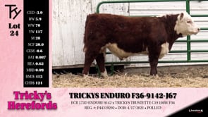 Lot #24 - TRICKYS ENDURO F36-9142-J67