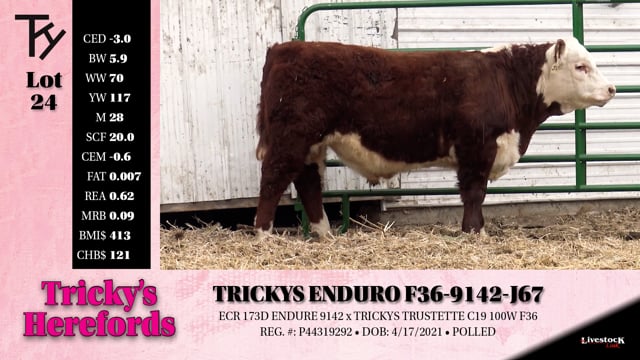 Lot #24 - TRICKYS ENDURO F36-9142-J67