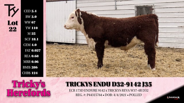 Lot #22 - TRICKYS ENDU D32-9142 J35