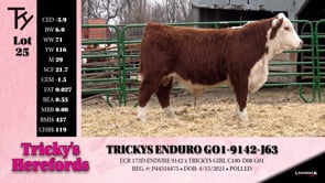 Lot #25 - TRICKYS ENDURO G01-9142-J63