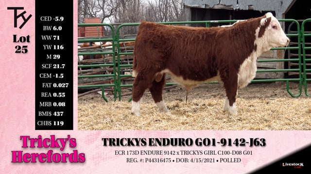 Lot #25 - TRICKYS ENDURO G01-9142-J63