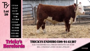 Lot #20 - TRICKYS ENDURO E09-9142 J87