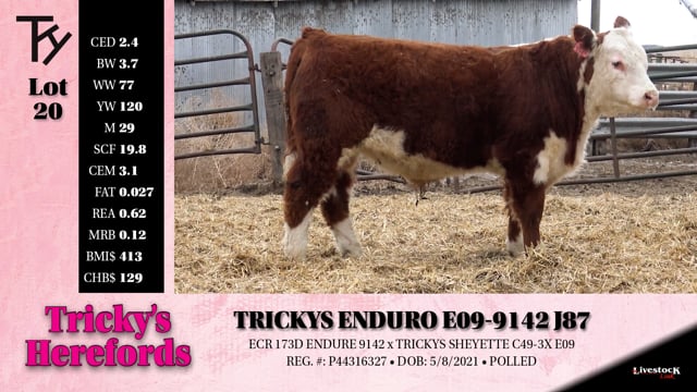 Lot #20 - TRICKYS ENDURO E09-9142 J87