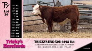 Lot #26 - TRICKYS END X06-8495 J34