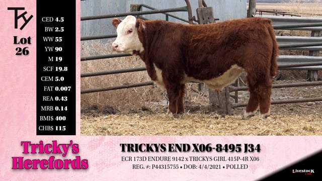 Lot #26 - TRICKYS END X06-8495 J34