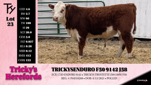 Lot #23 - TRICKYS ENDURO F50 9142 J58