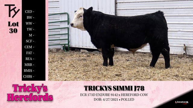 Lot #30 - TRICKYS SIMMI J78