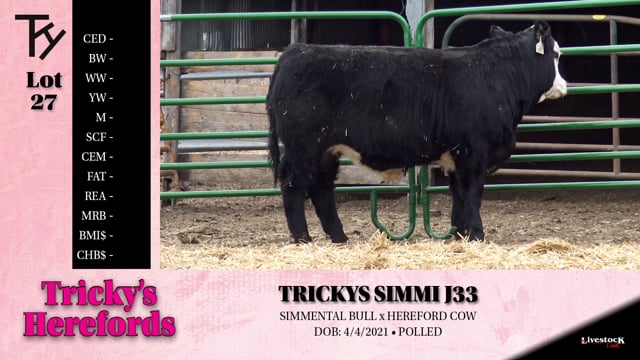 Lot #27 - TRICKYS SIMMI J33
