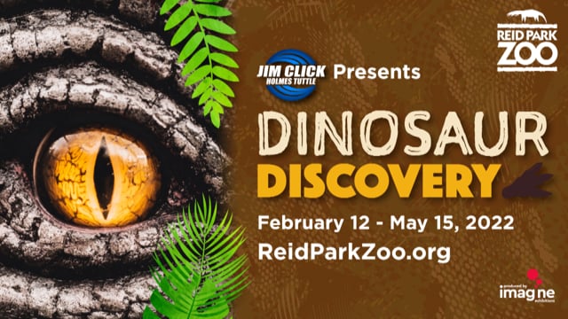 Dinosaurs Roar Throughout Reid Park Zoo