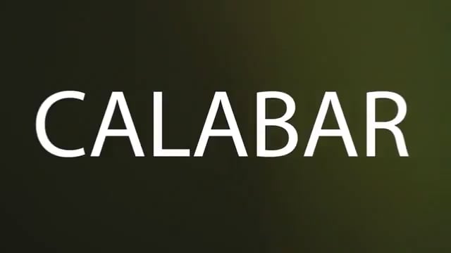 APPEALS Project 3rd ISM Calabar