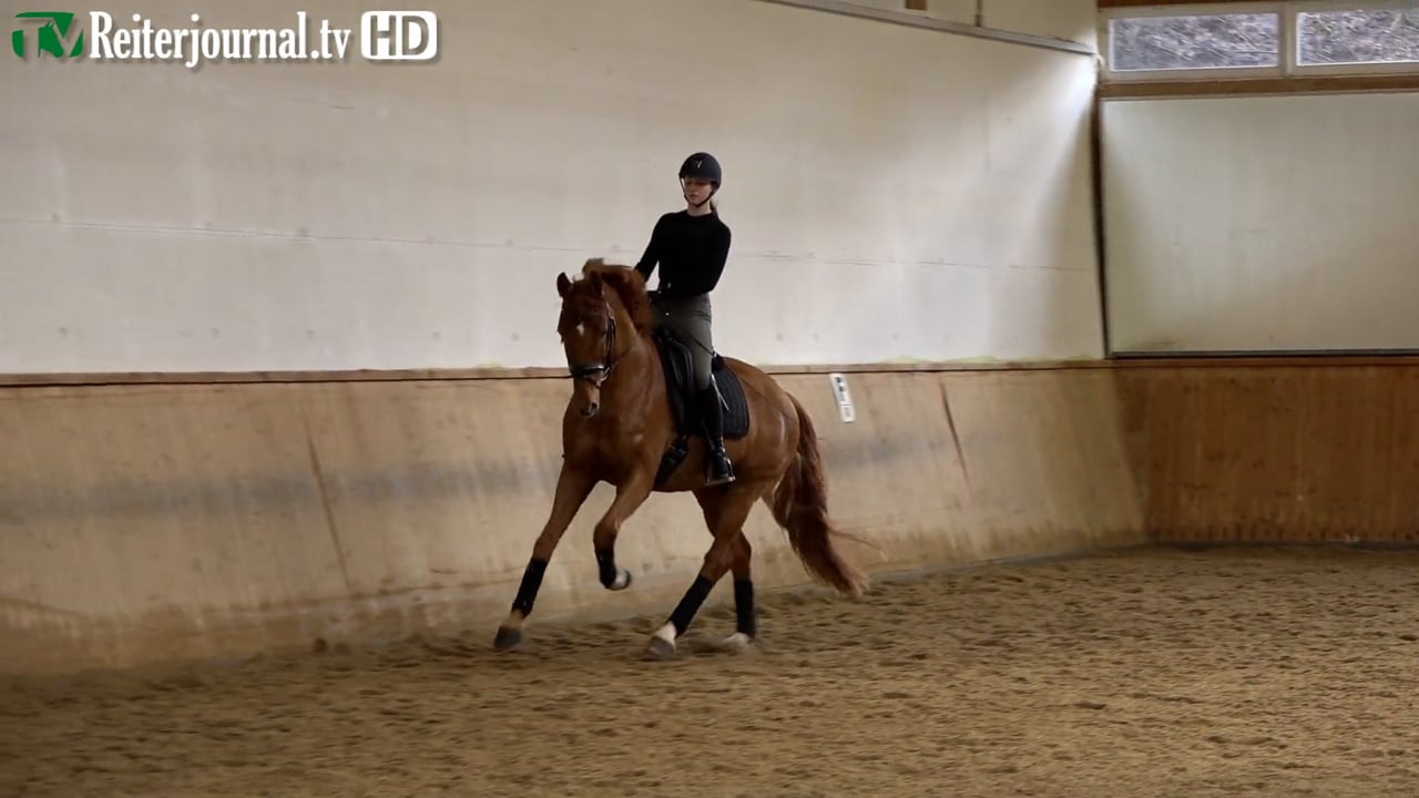 Richtig Reiten mit Carolin Völker, Teil 1 von 2.mp4