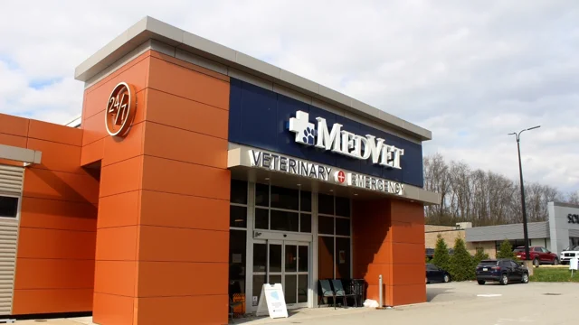 Med vet hot sale near me