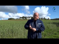 Dairy for Future, un proyecto para establecer un etiquetado específico de leche respetuosa con el medio ambiente