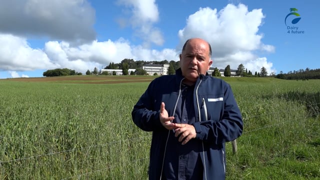 Dairy for Future, un proxecto para establecer un etiquetado específico de leite respectuoso co medio ambiente