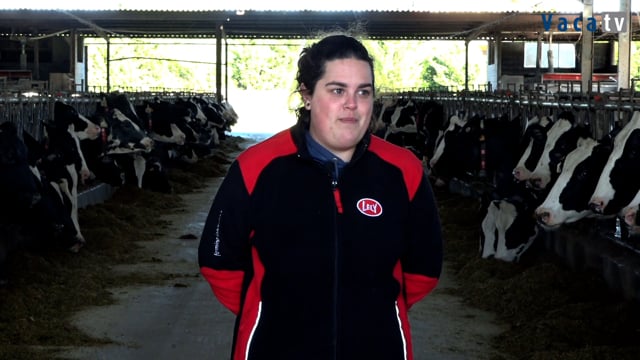 A automatización mellora o benestar animal na SAT Jogu