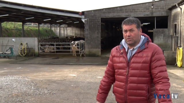 Produción embrionaria ao alcance de calquera gandería