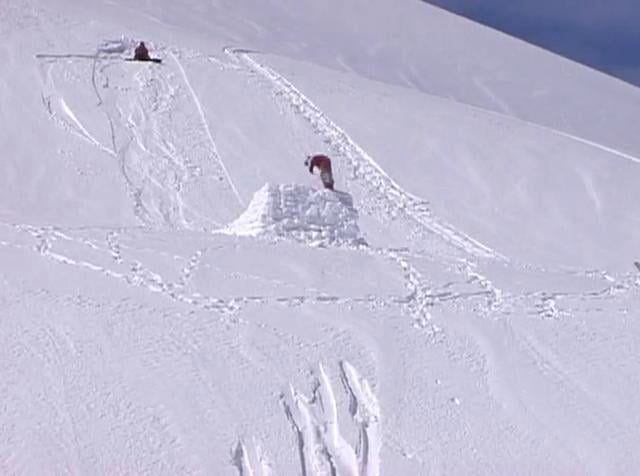 Wildcats Nine Lives from SVOnline