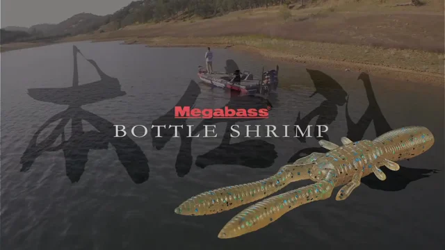 Megabass Bottle Shrimp 4 — Discount Tackle