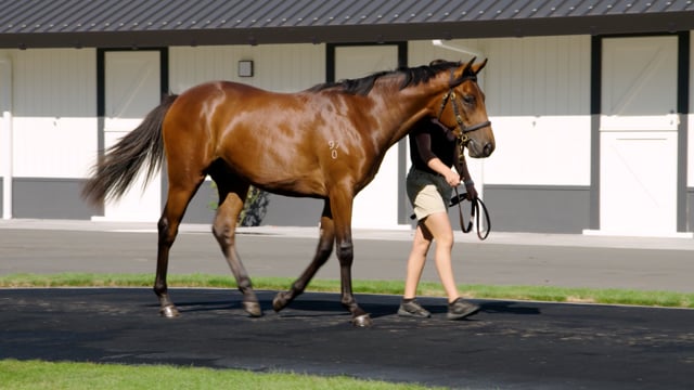 Lot 428