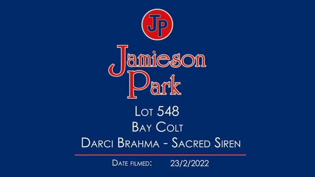 Lot 548