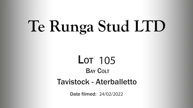 Lot 105
