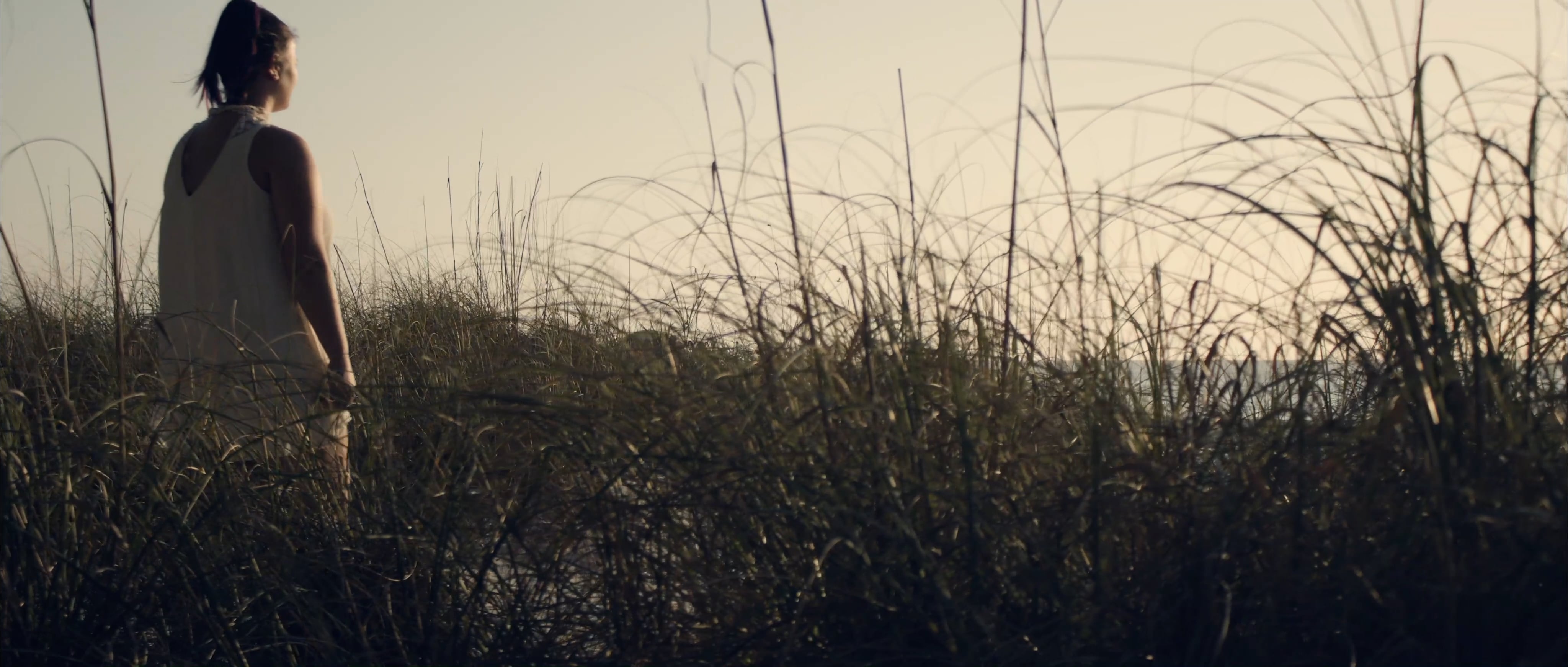 Dream on Vimeo
