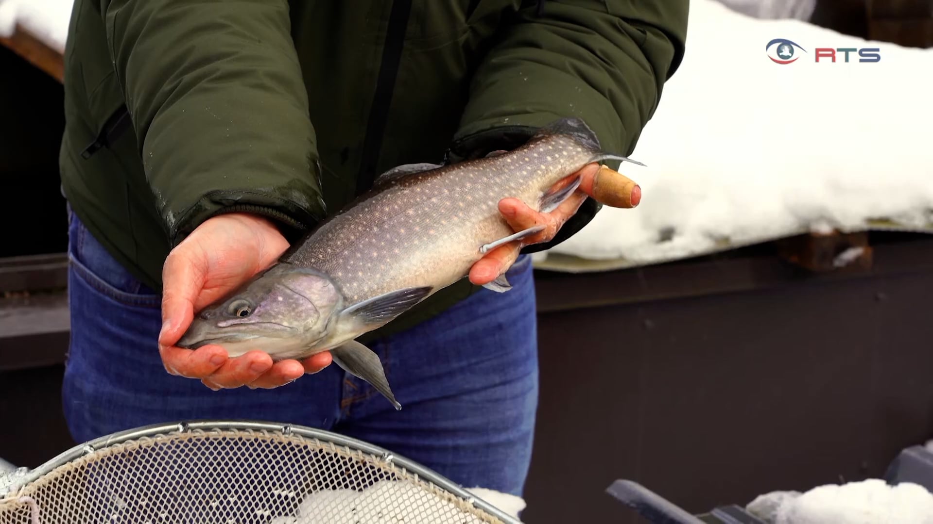 narrische-spinner-fisch-vor-freizeit