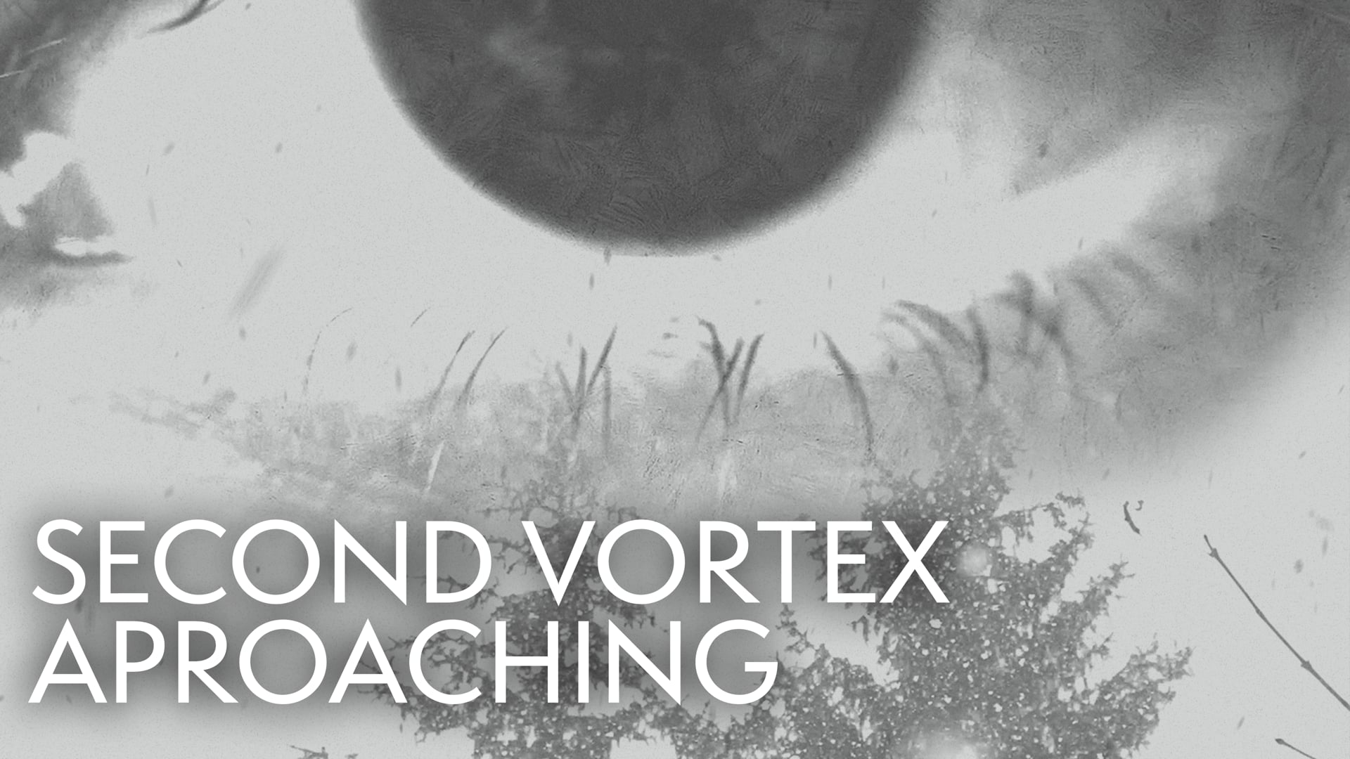 Second Vortex Approaching (2019)