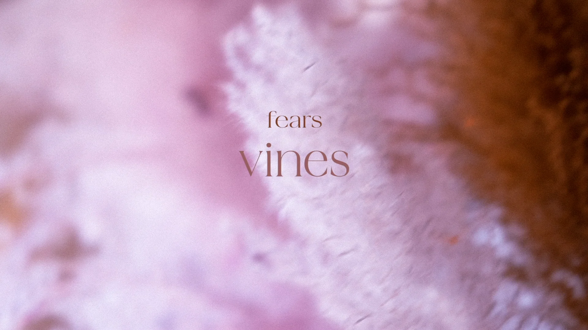 MUSIC VIDEO on Vimeo