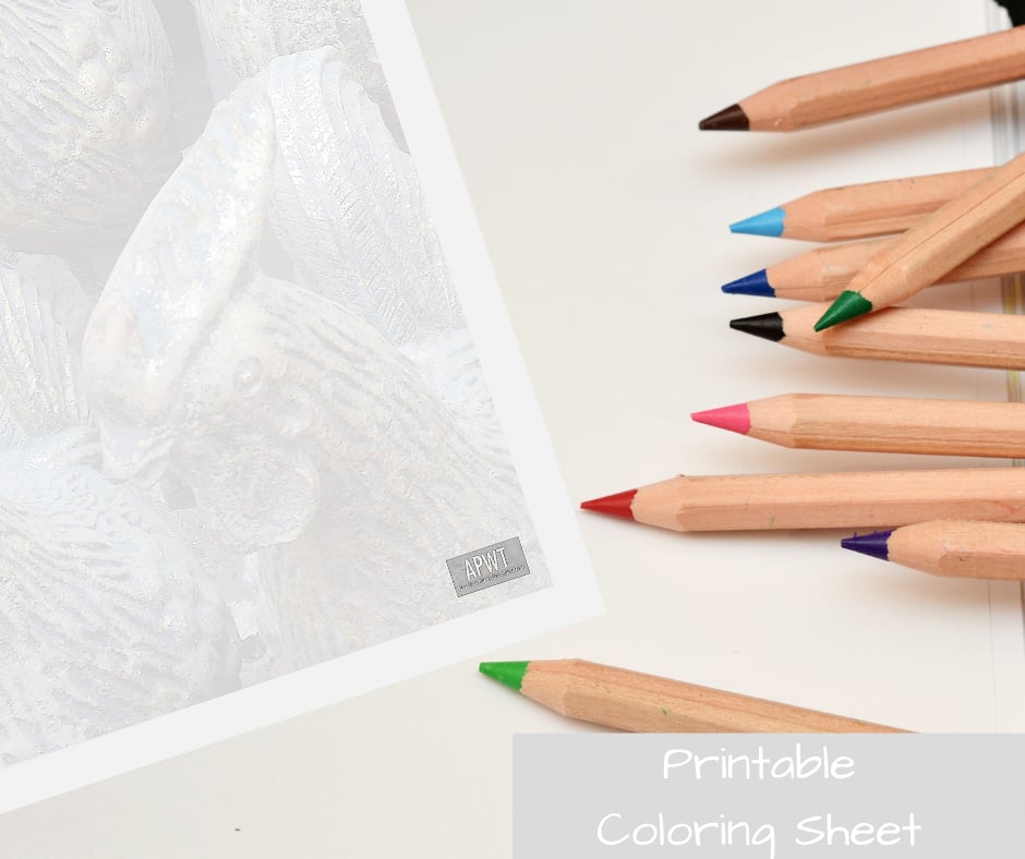 Printable Stationery - Coloring Sheet (Roosters) - From APWT Stationery ...