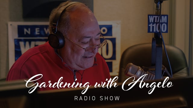 Gardening with Angelo Radio Show